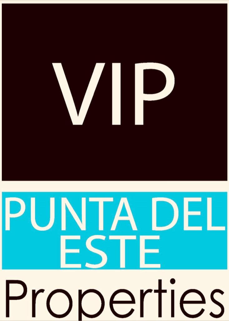 Logo de Vip Punta Pro