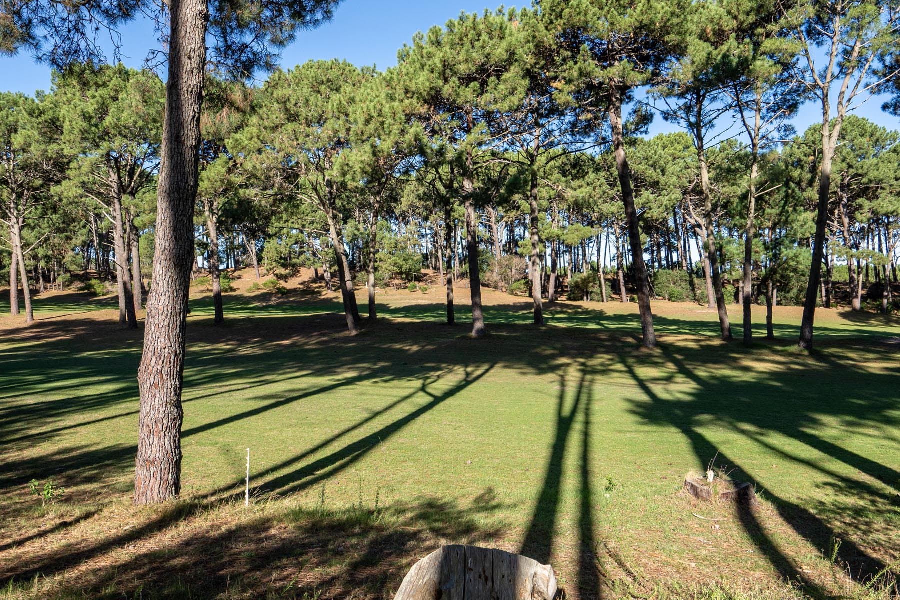 Espectacular Terreno sobre el Golf Club del Lago — miniatura 2