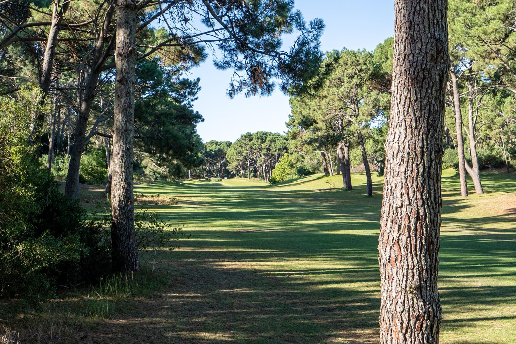 Espectacular Terreno sobre el Golf Club del Lago — miniatura 5