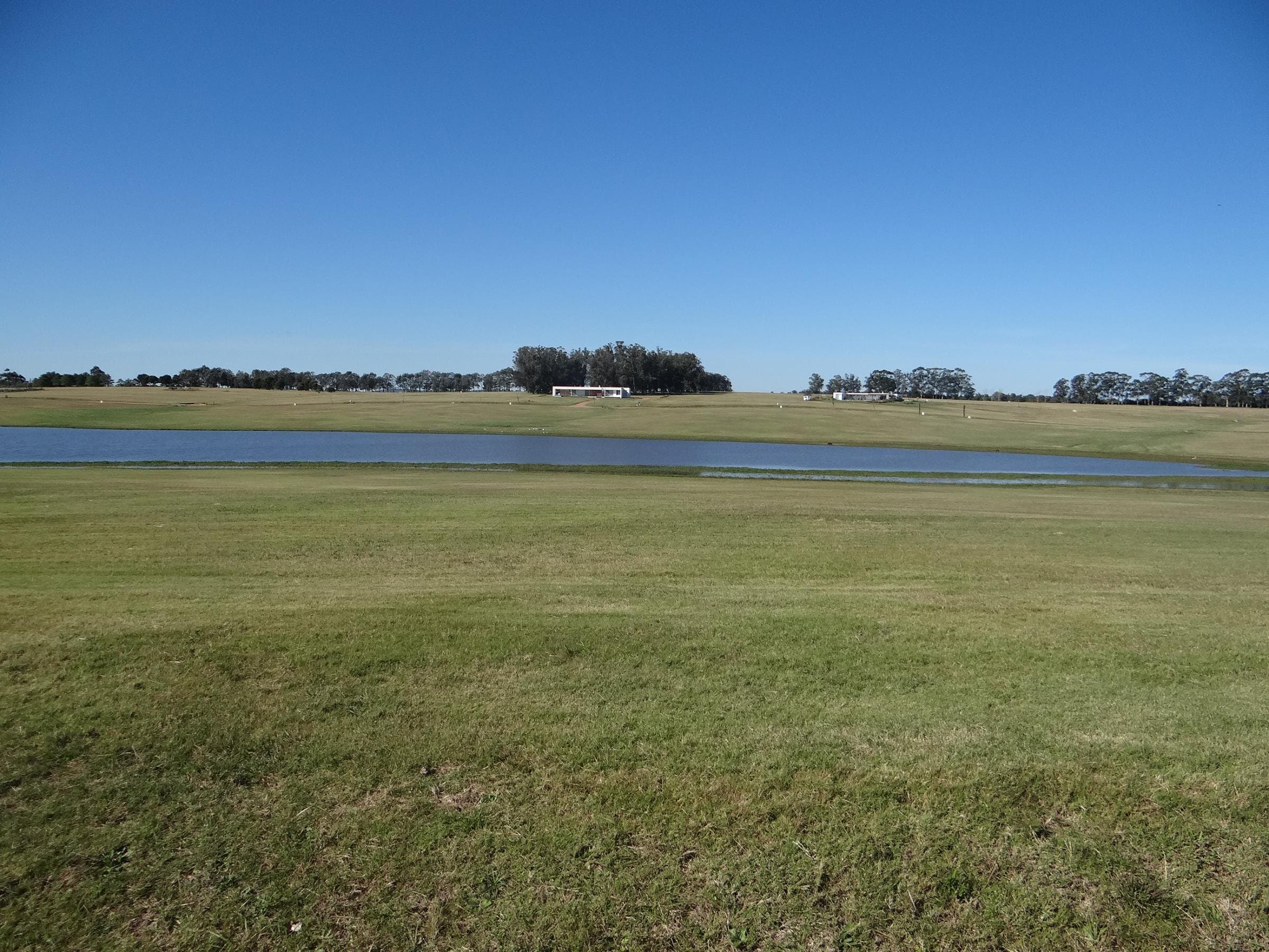 Terreno en Laguna de los Cisnes — miniatura 5