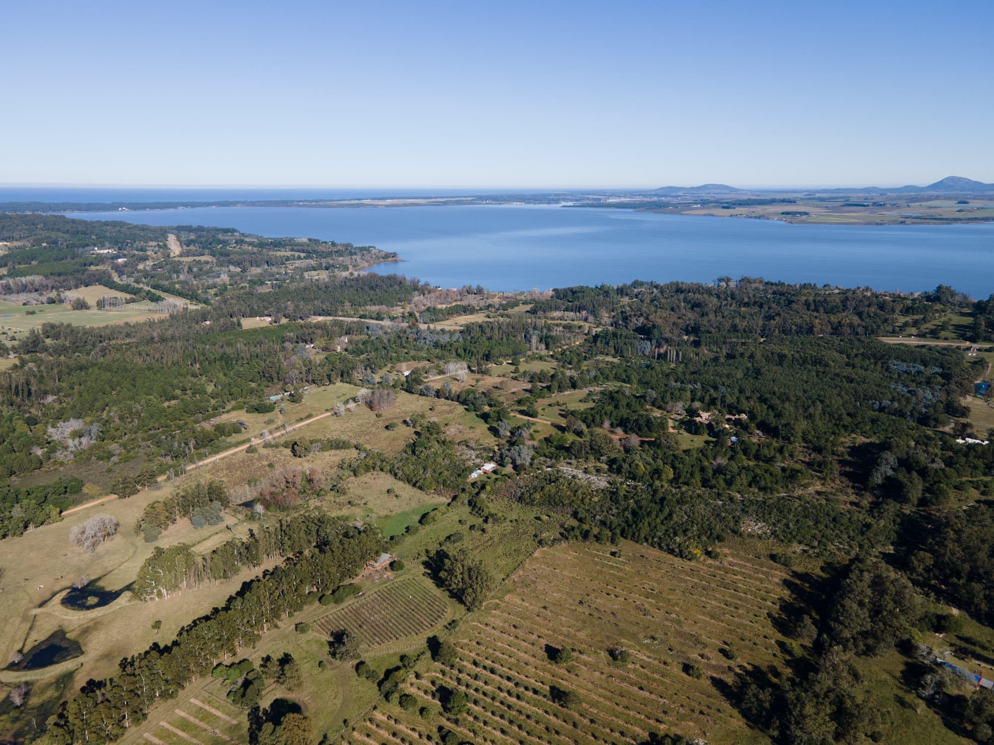 Chacra de 36 ha en Laguna del Sauce