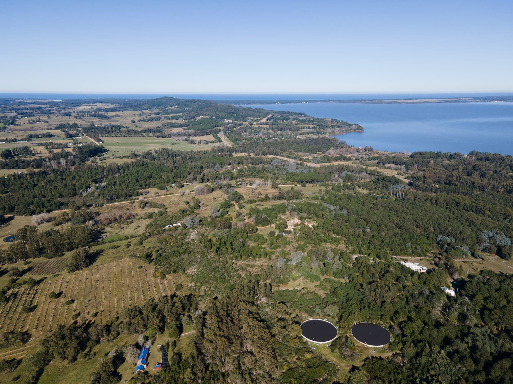 Chacra de 36 ha en Laguna del Sauce — miniatura 2