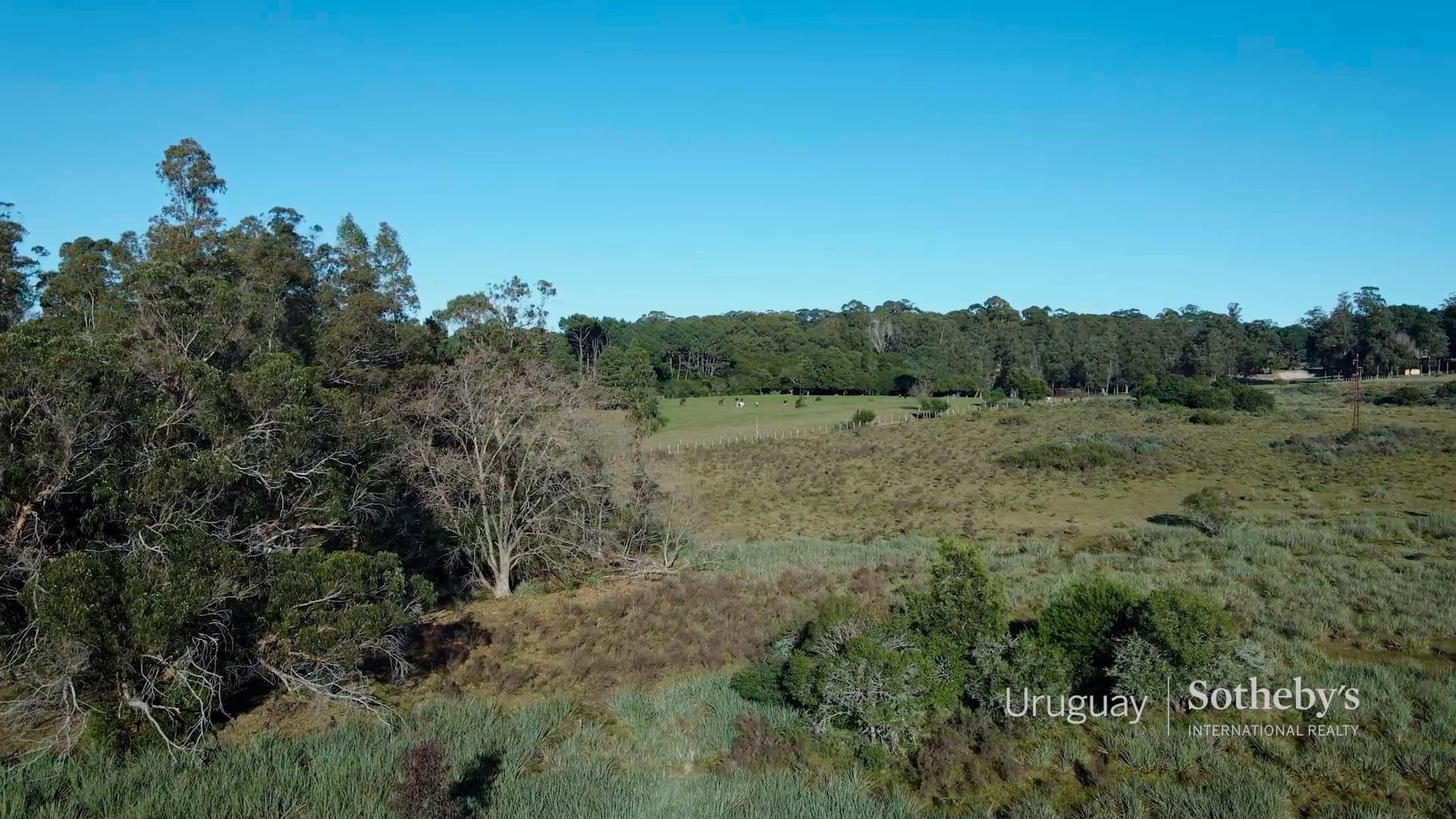 227 acres of land for sale in Lapataia — miniatura 4