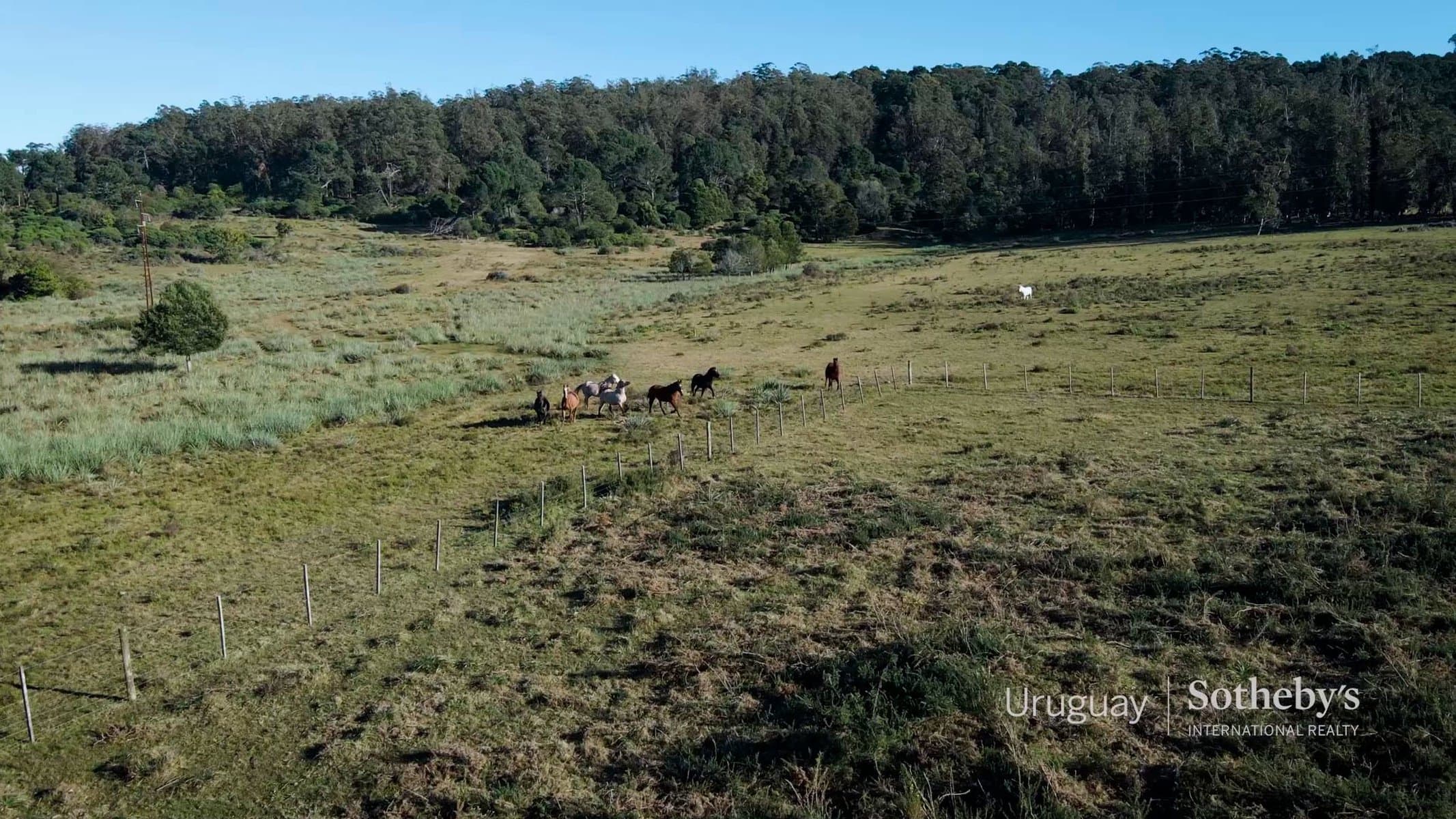227 acres of land for sale in Lapataia — miniatura 5