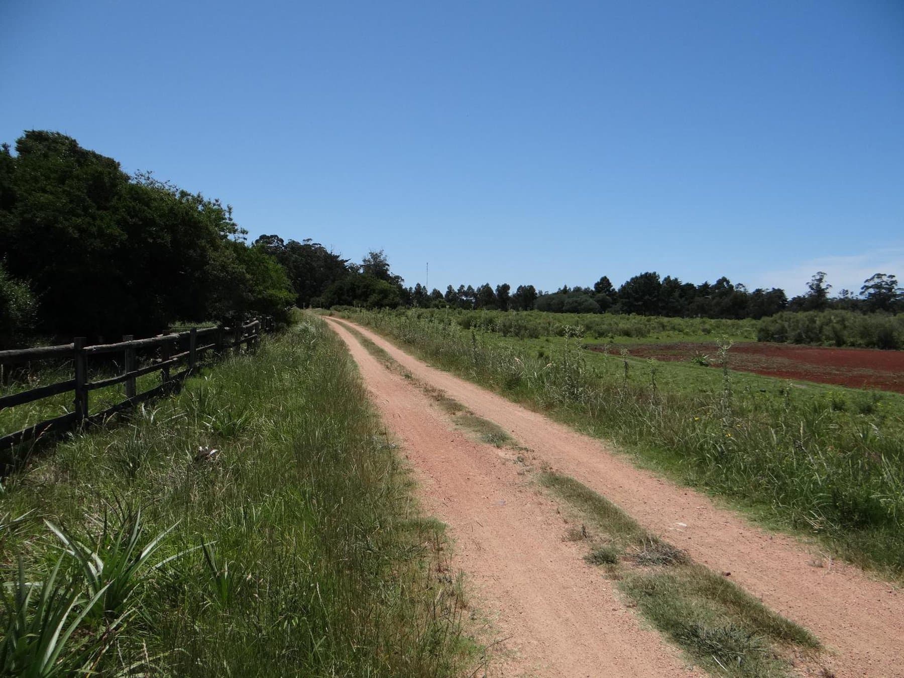 28 acre farm on Lapataia Valley