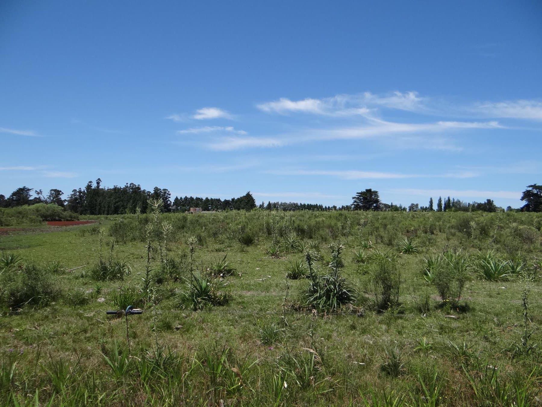 28 acre farm on Lapataia Valley — miniatura 2