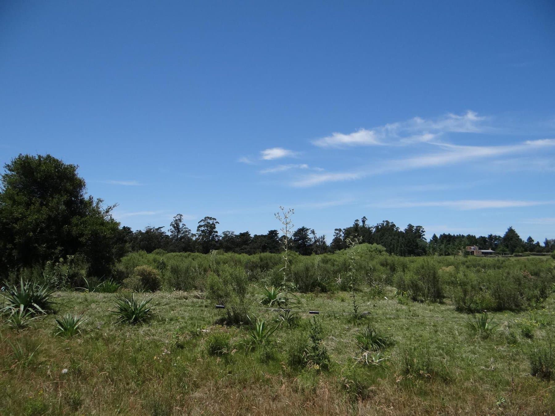 28 acre farm on Lapataia Valley — miniatura 3