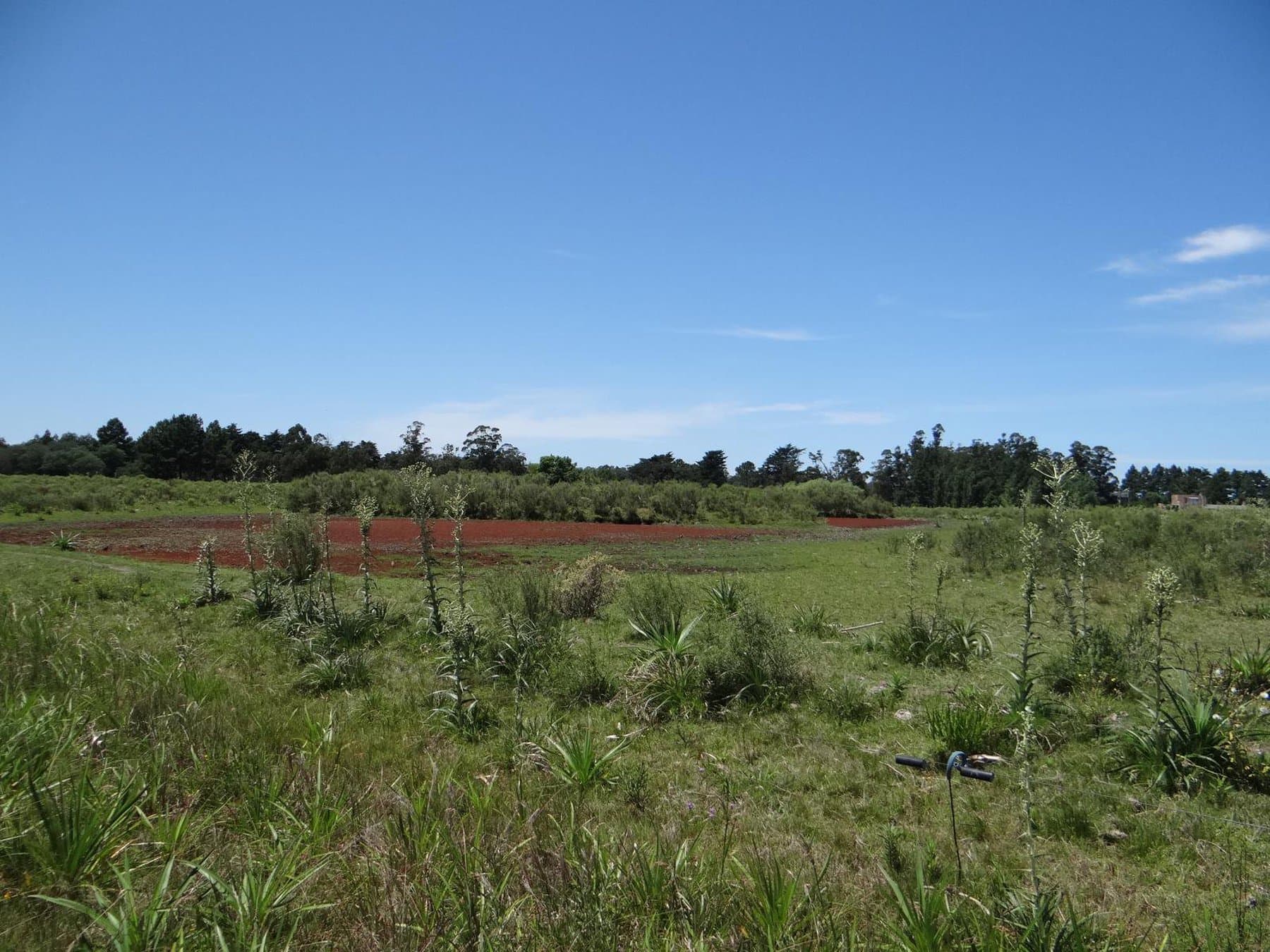 28 acre farm on Lapataia Valley — miniatura 4