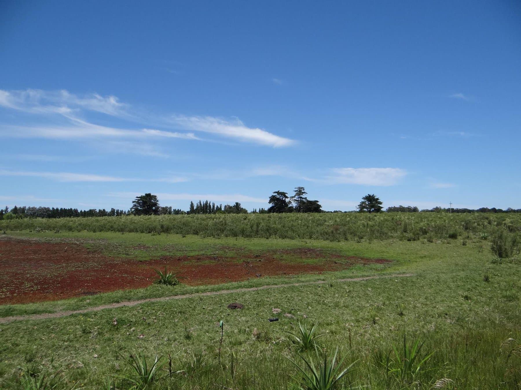 28 acre farm on Lapataia Valley — miniatura 5