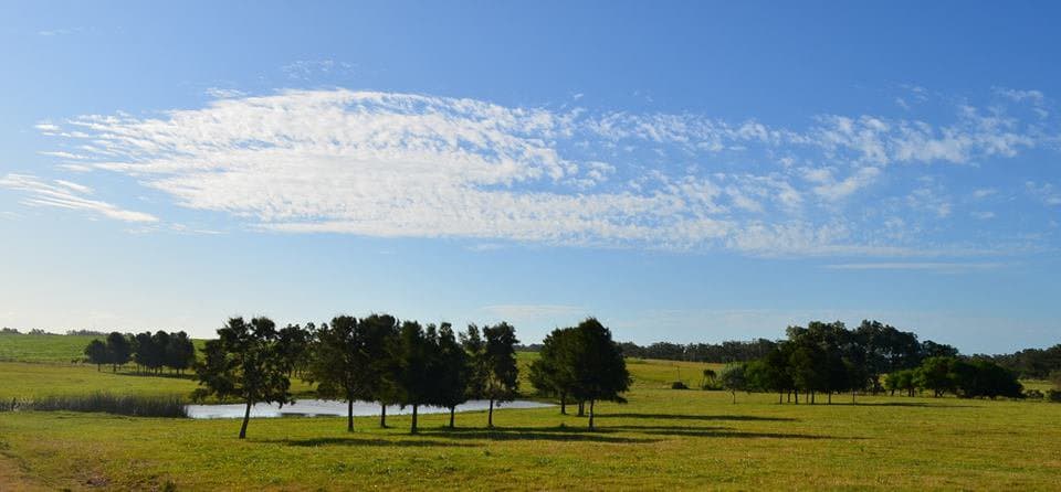 Haras de Medellín Farms