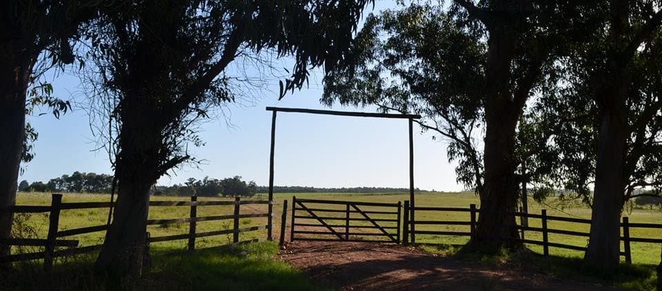 Haras de Medellín Farms — miniatura 3