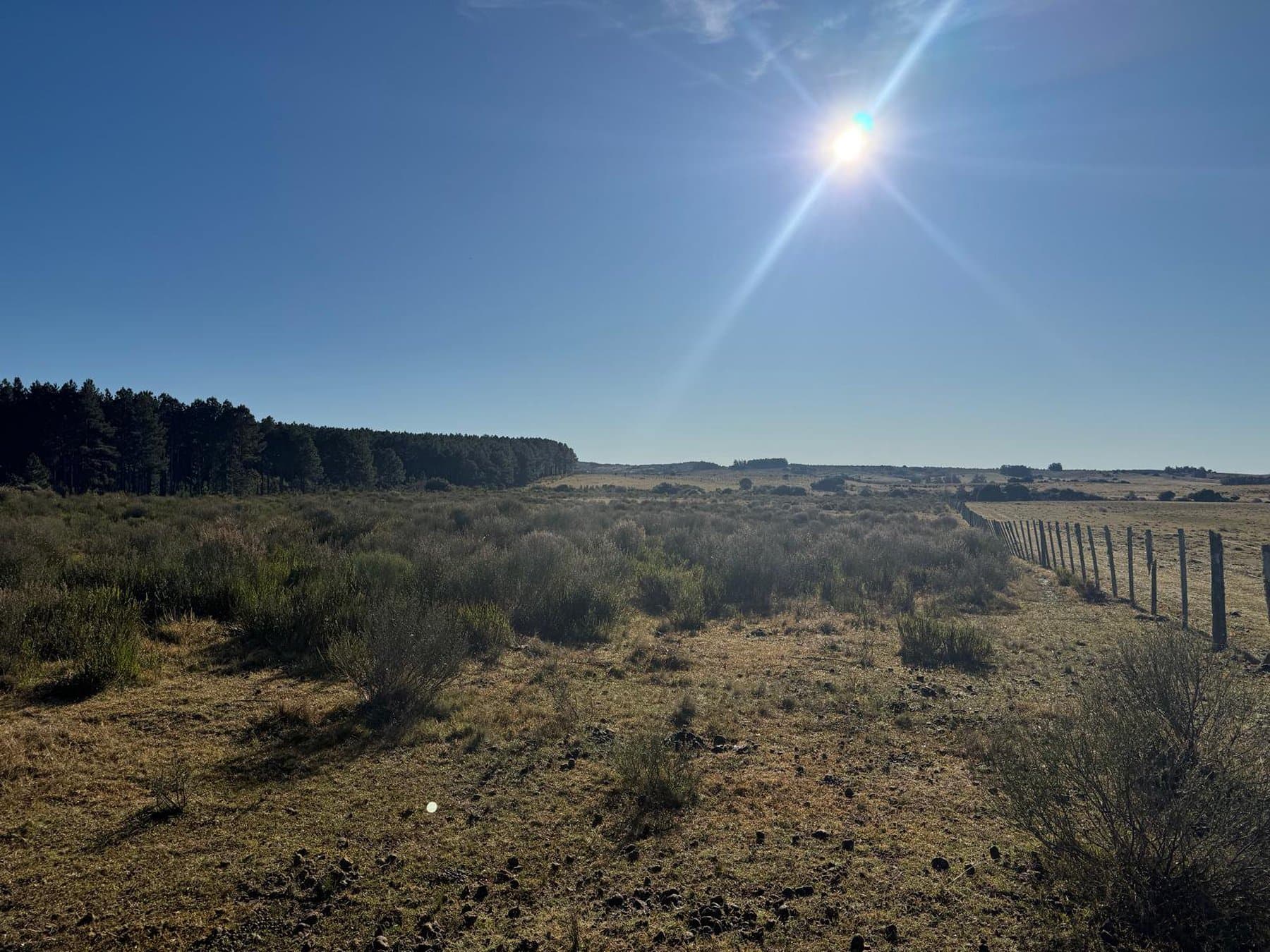 Chacra de 6.4 ha en Garzón. — miniatura 2