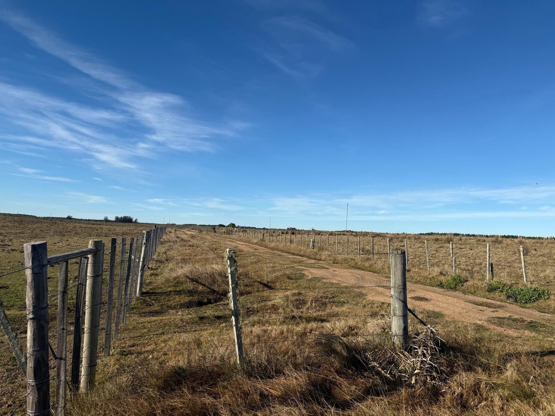 Chacra de 6.4 ha en Garzón. — miniatura 3