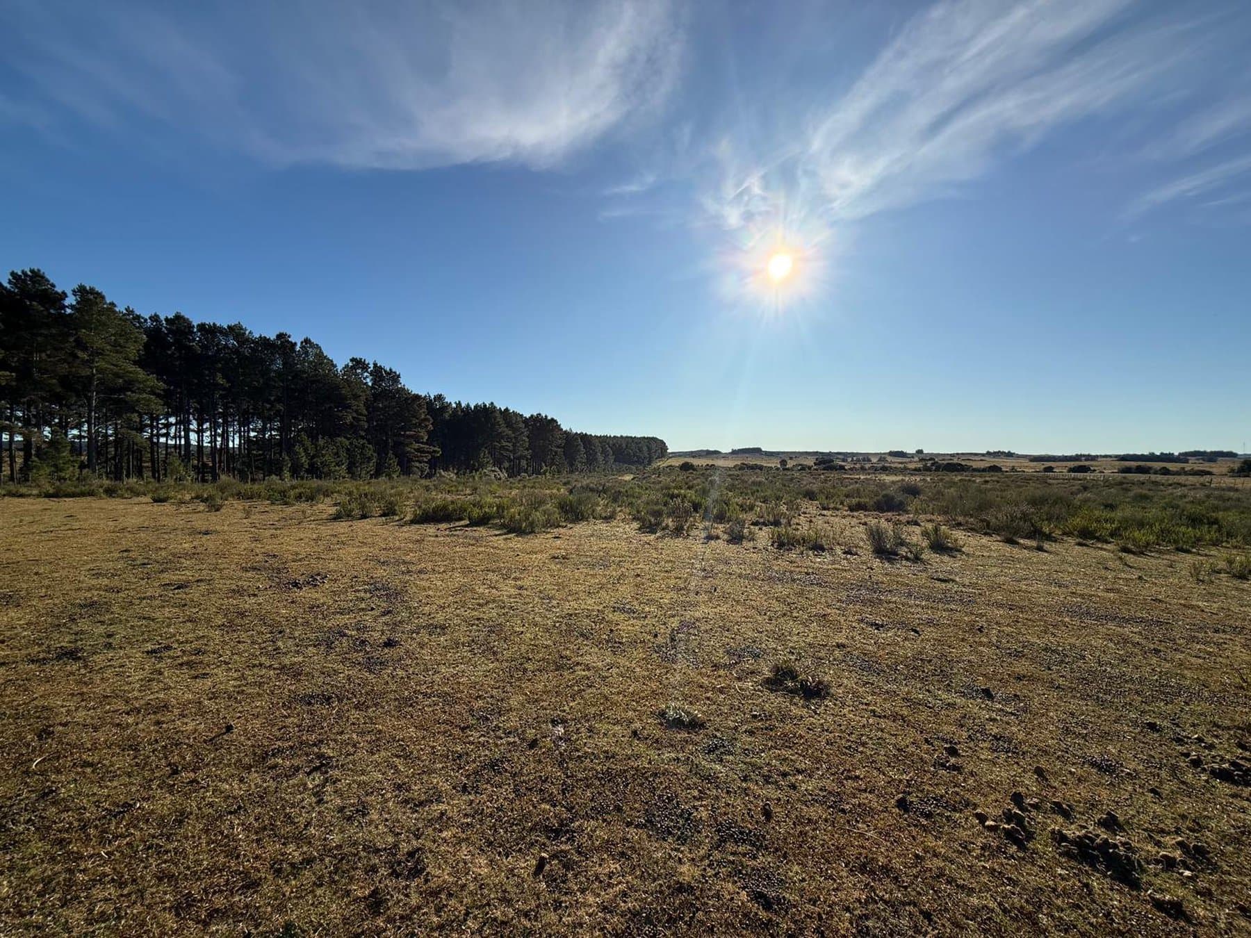 Chacra de 6.4 ha en Garzón. — miniatura 4