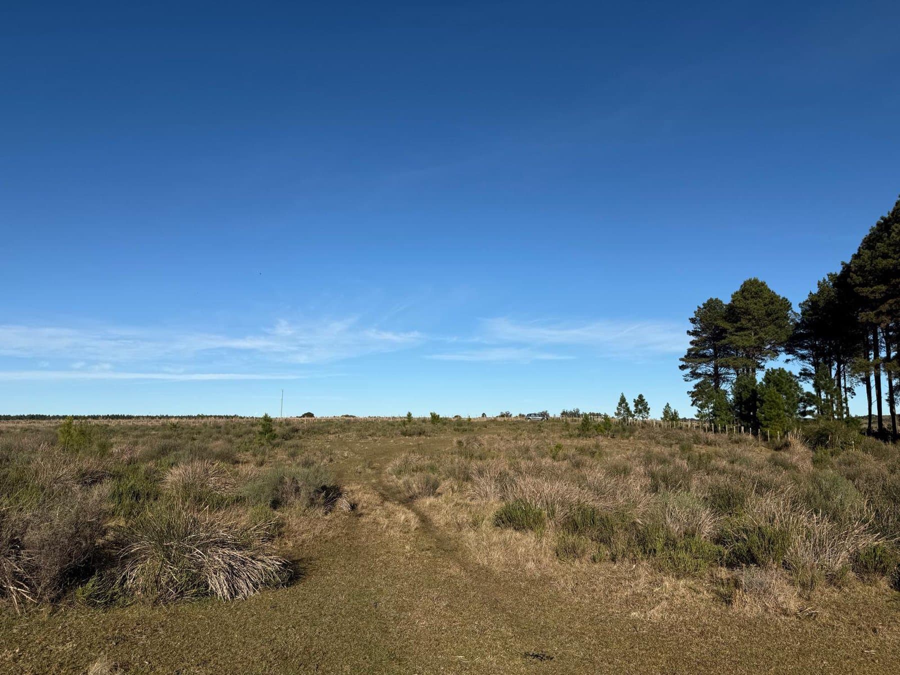 Chacra de 6.4 ha en Garzón. — miniatura 5