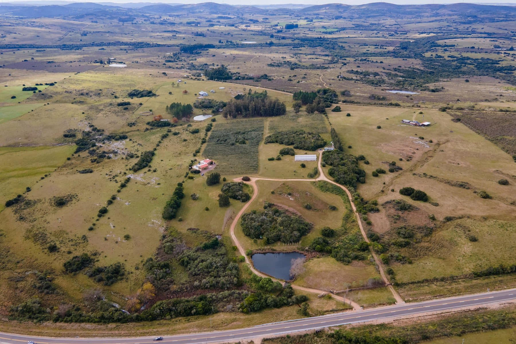Chacra con olivar en Pueblo Edén. — miniatura 2