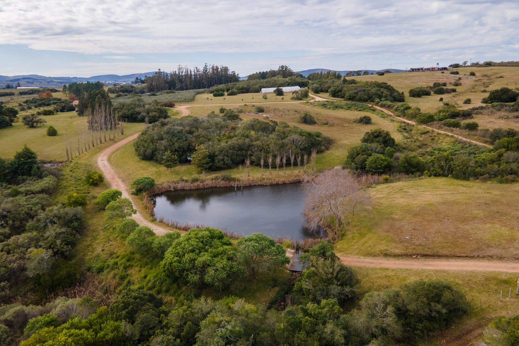 Chacra con olivar en Pueblo Edén. — miniatura 3
