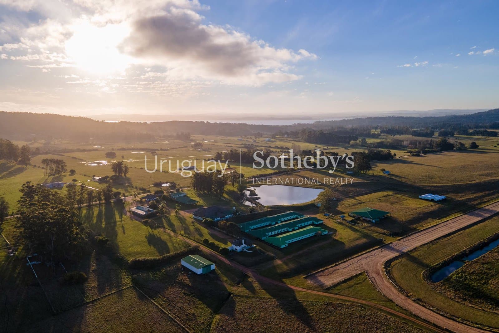 Haras NAHUEL — miniatura 2