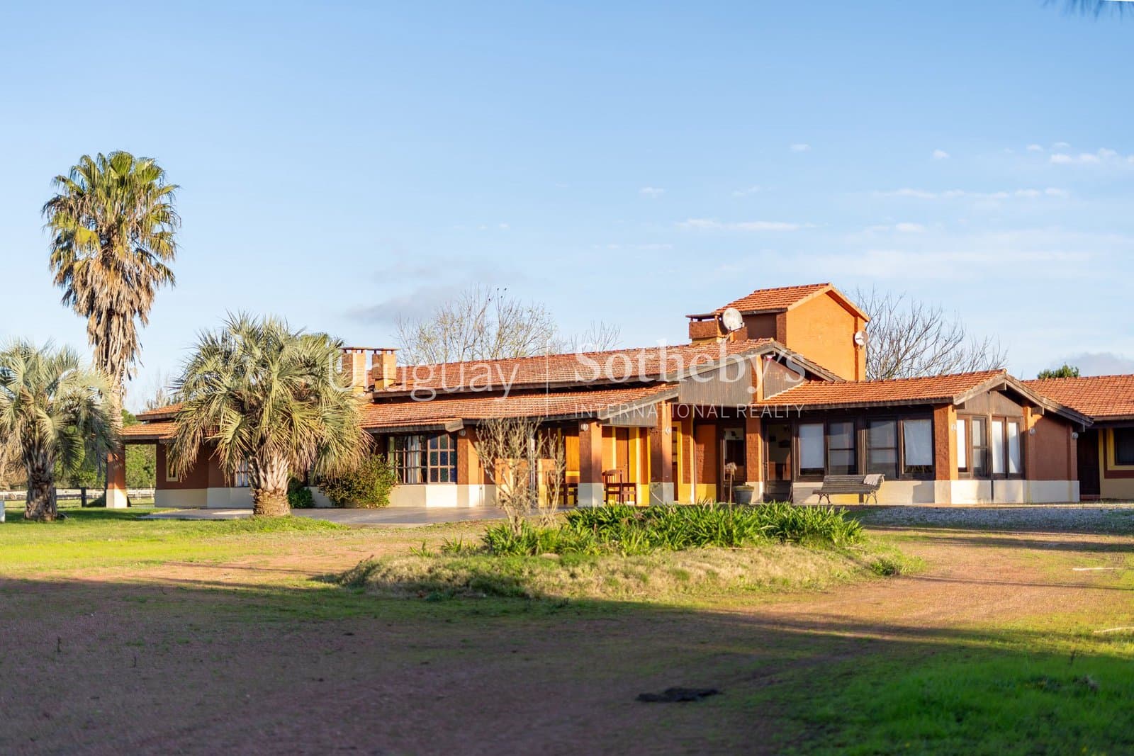 Haras NAHUEL — miniatura 3
