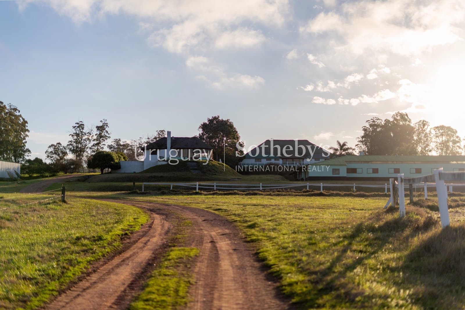 Haras NAHUEL — miniatura 4