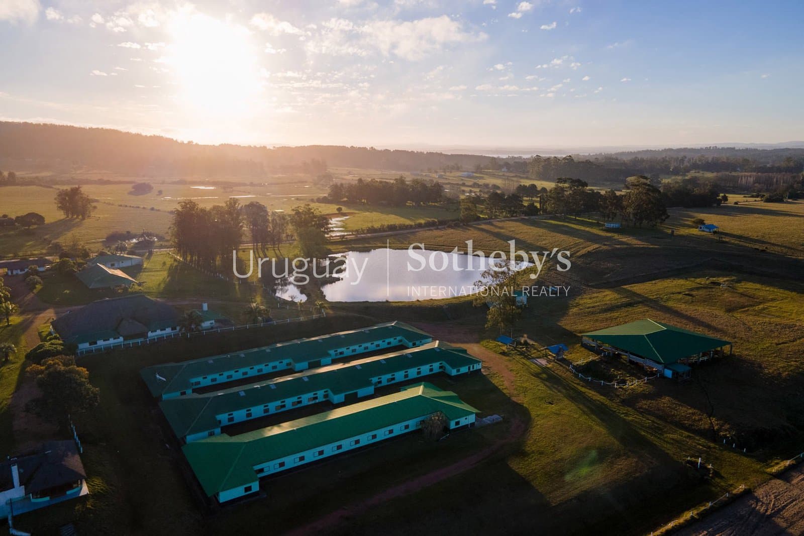 Haras NAHUEL — miniatura 5