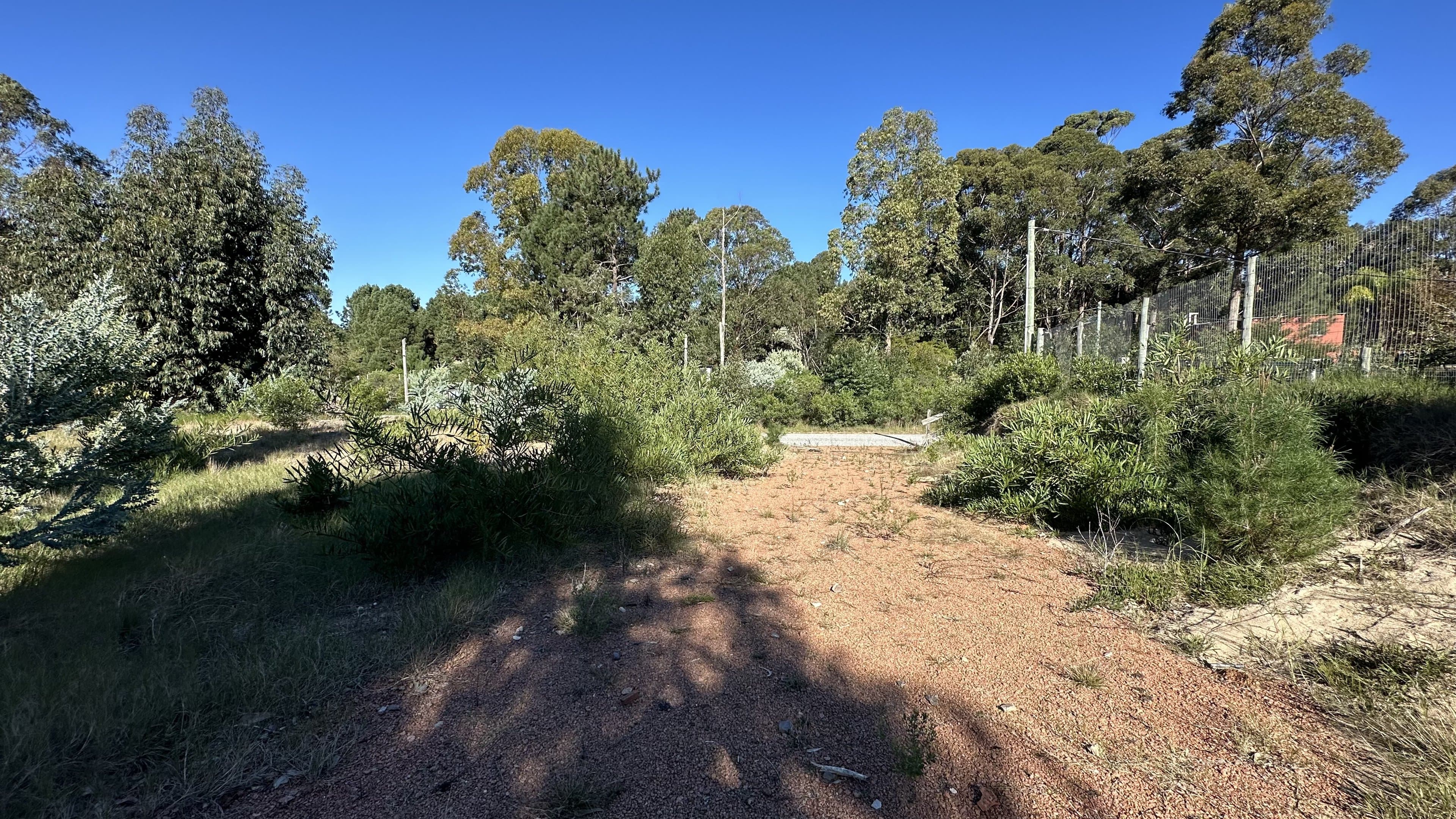 Excelente terreno en Bosque de Punta Ballena — miniatura 3