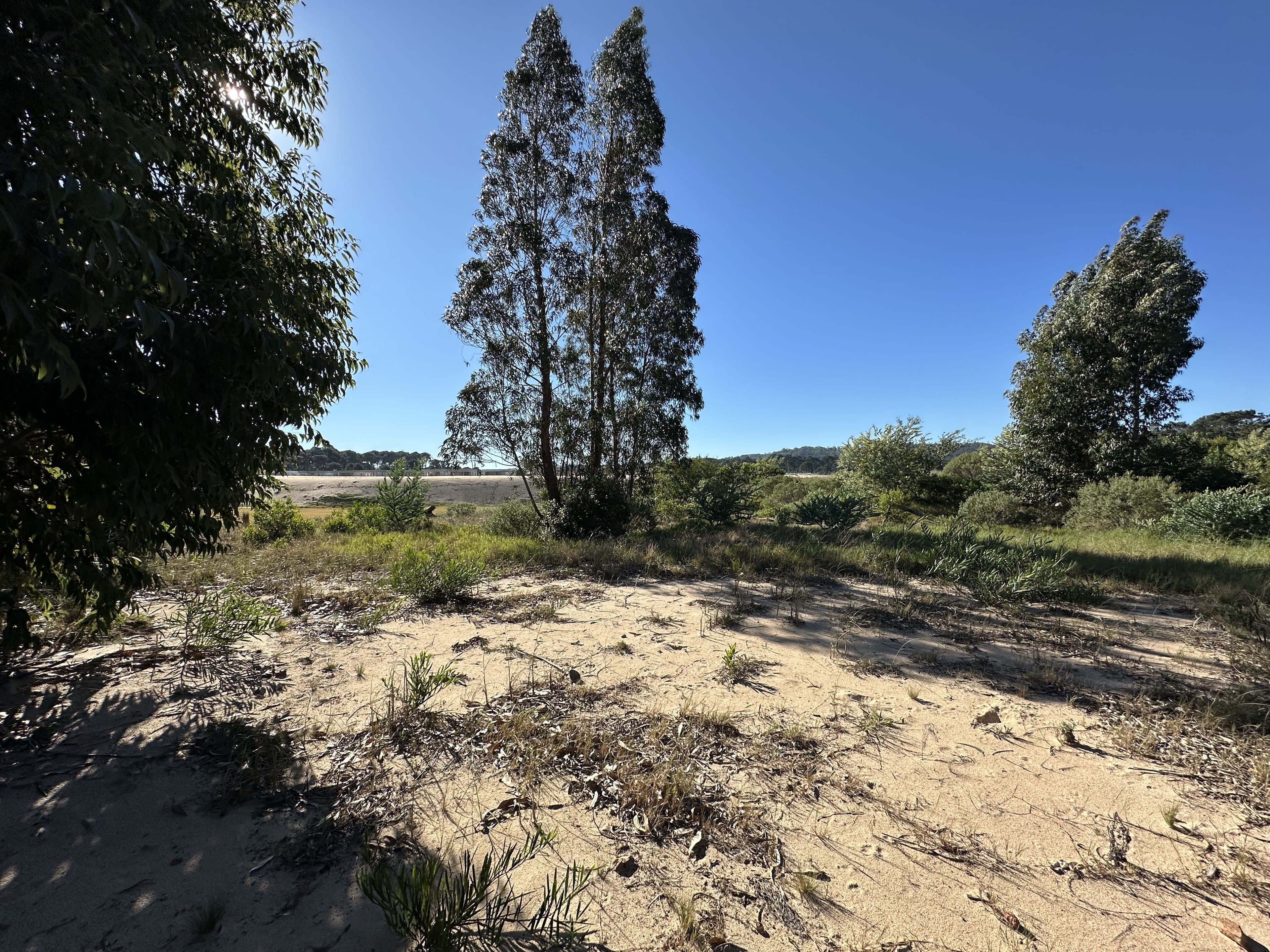 Excelente terreno en Bosque de Punta Ballena — miniatura 4