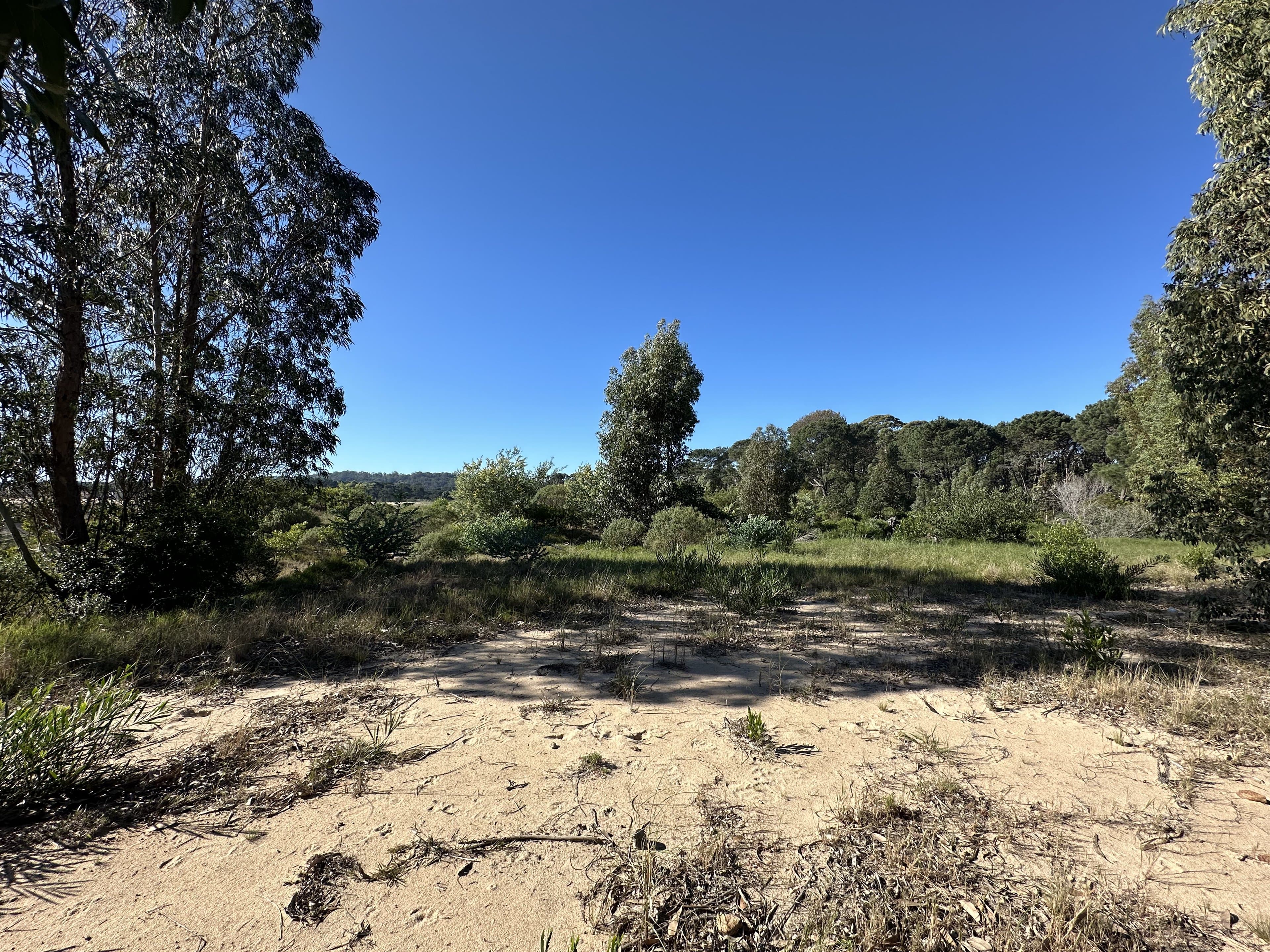 Excelente terreno en Bosque de Punta Ballena — miniatura 5
