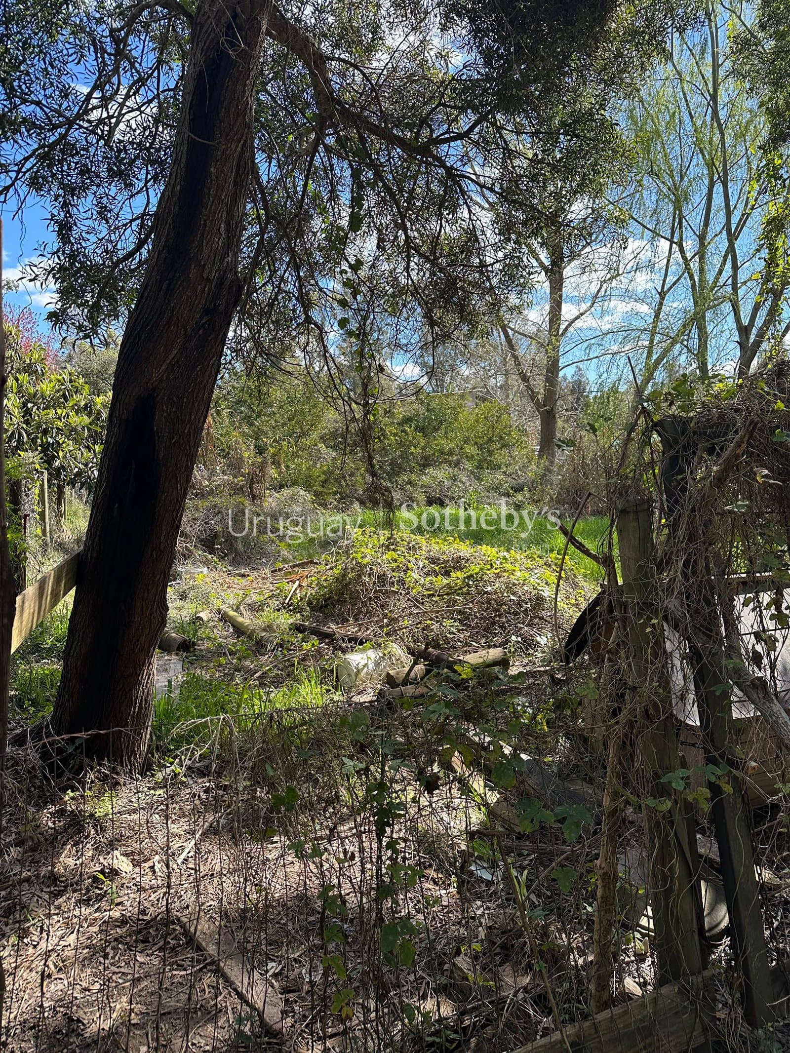 Terreno en EL TESORO — foto 1