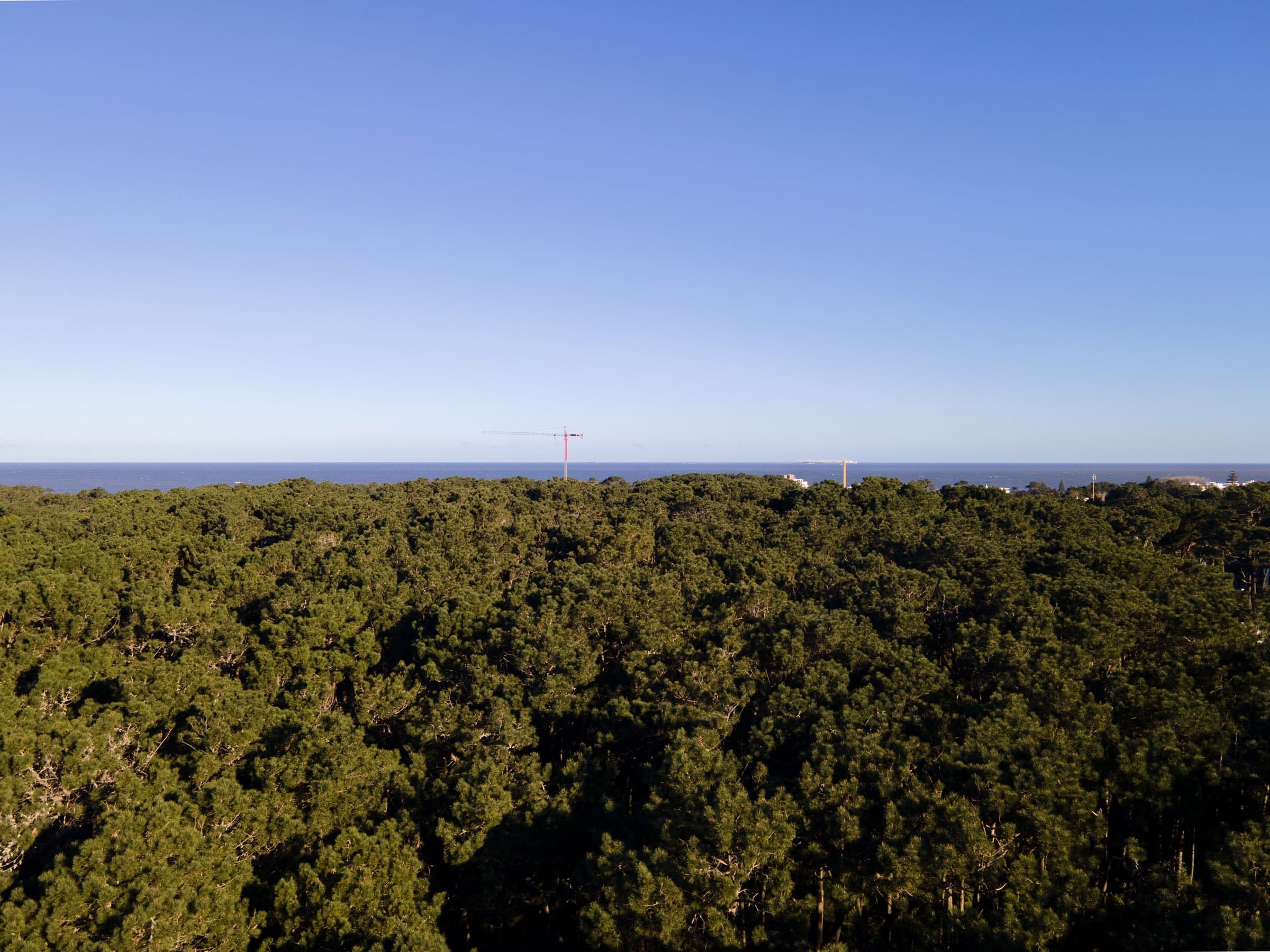 Oportunidad de inversión en Rincón del Indio