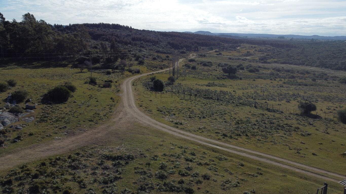 Campo ganadero en zona turística de Maldonado — miniatura 3