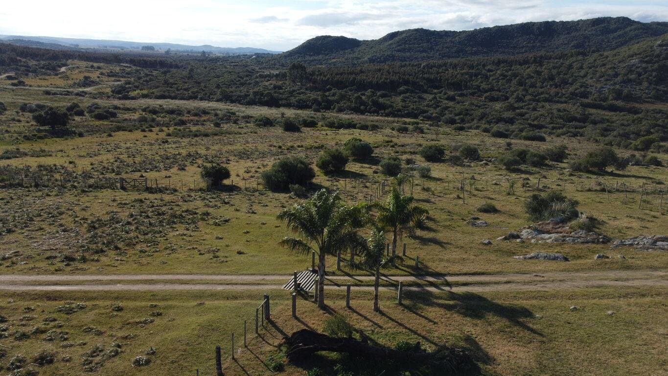 Campo ganadero en zona turística de Maldonado — miniatura 4
