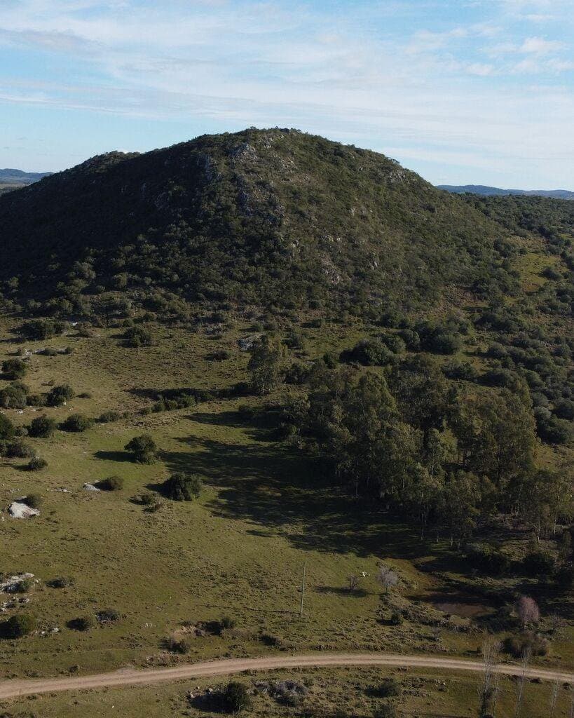 Campo ganadero en zona turística de Maldonado — miniatura 5