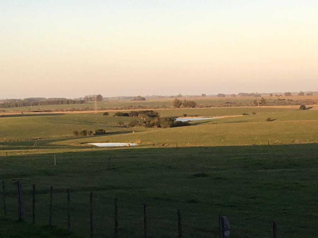 Campo sobre Laguna Garzon - TM1282269