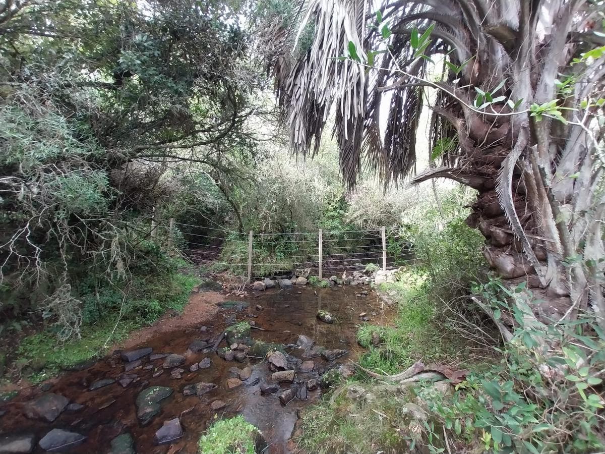 Campo en Aiguá 121 Hectareas
