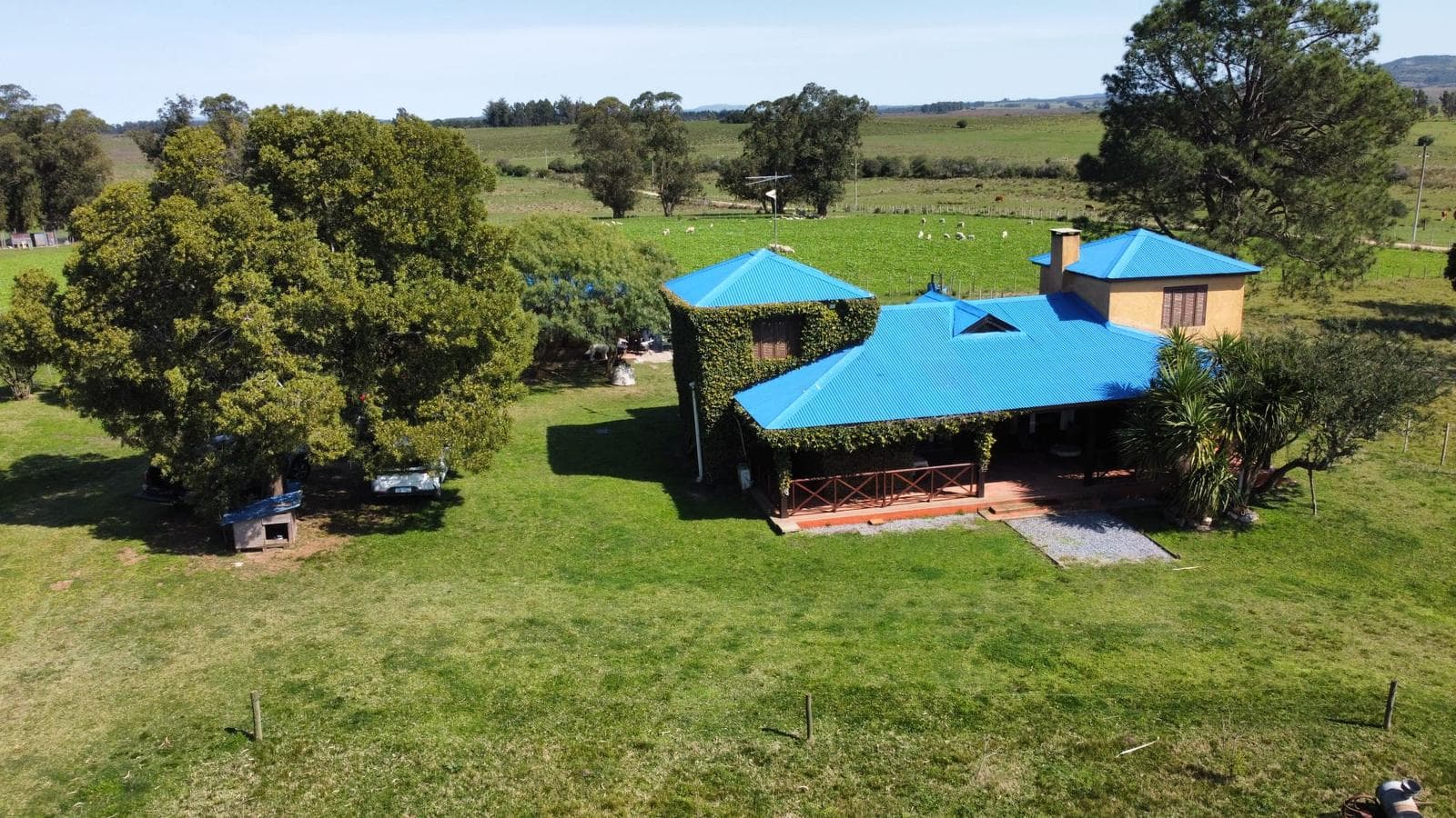 Campo en Pueblo Eden 20 Hectareas Completas - TM6554709