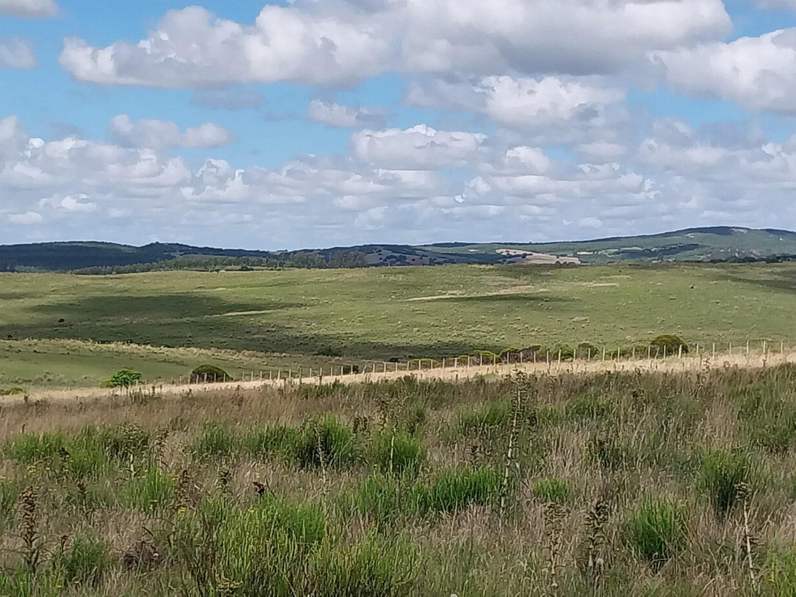 Excelente Campo de 60 Hectareas en Pueblo Garzón - TM5820020