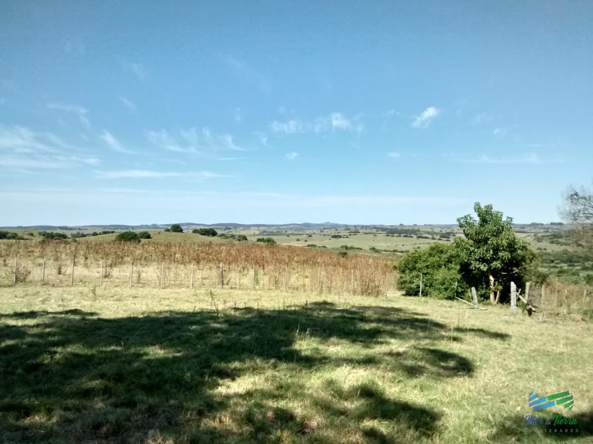 60 Has Garzón a 10 Kms del Pueblo