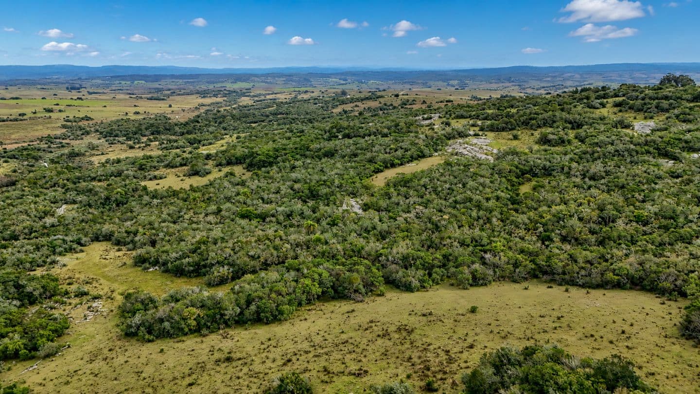 Campo serrano en venta zona de Bodegas de Garzón