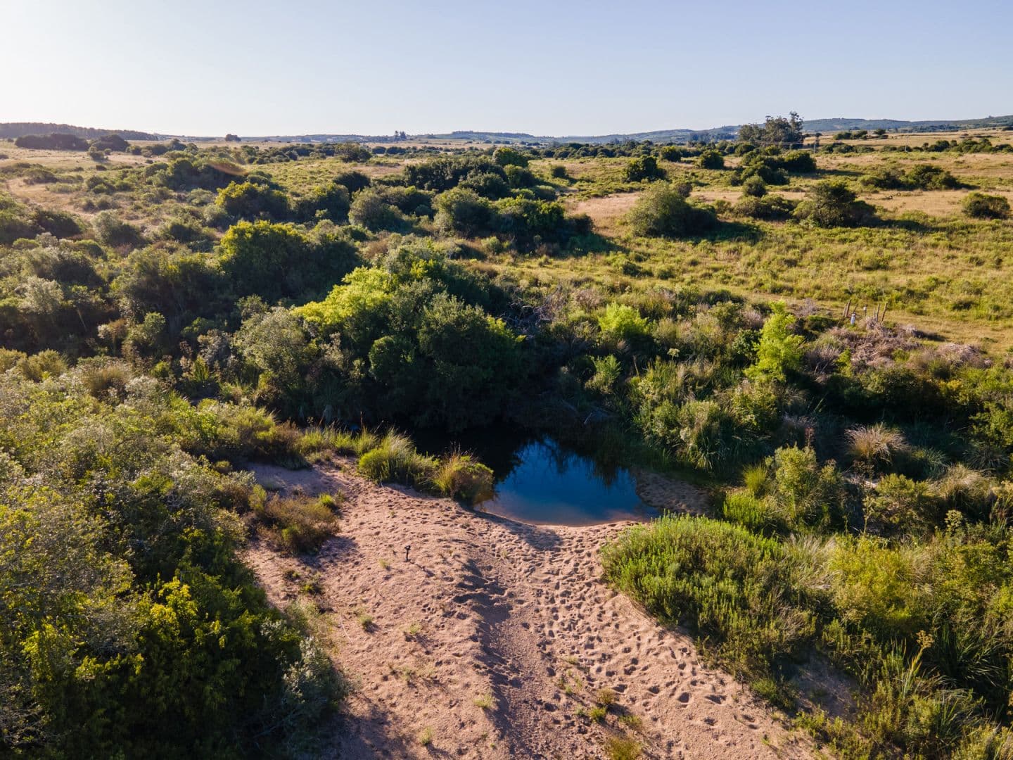 Naturaleza nativa de Uruguay, a 5m de Garzón
