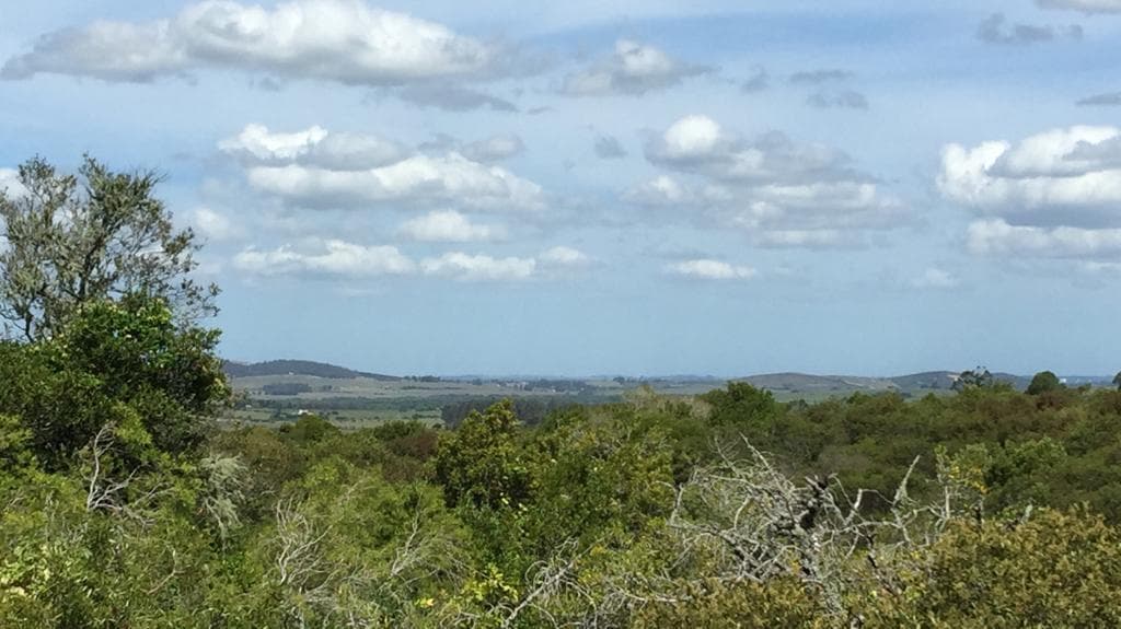 Chacra en Venta Pueblo Eden - TM4975697