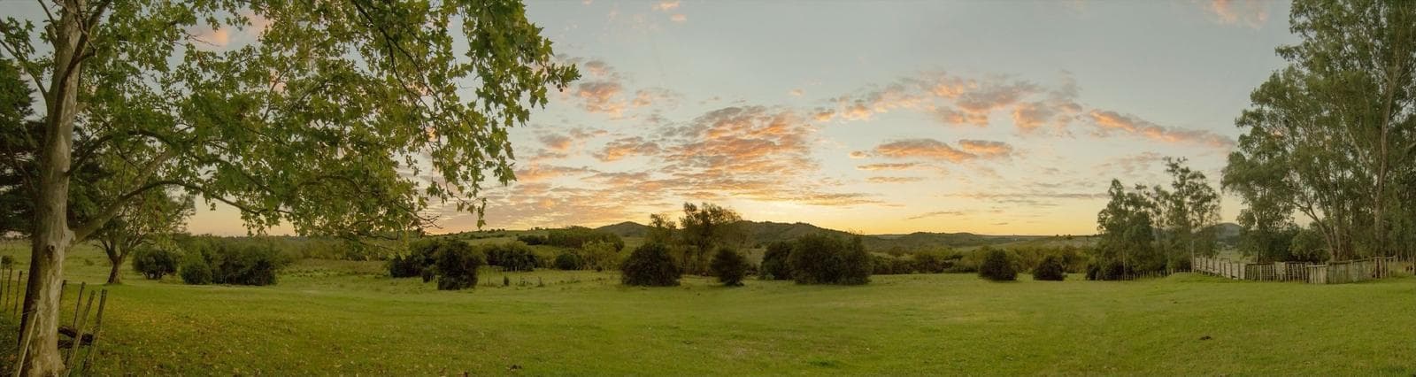 Excelente Campo 254ha Marmaraja Lavalleja - TM7570127