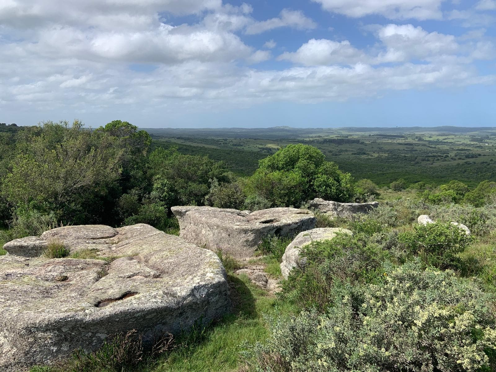 Espectacular Campo de 155 Hectareas Pueblo Garzón - TM7438835