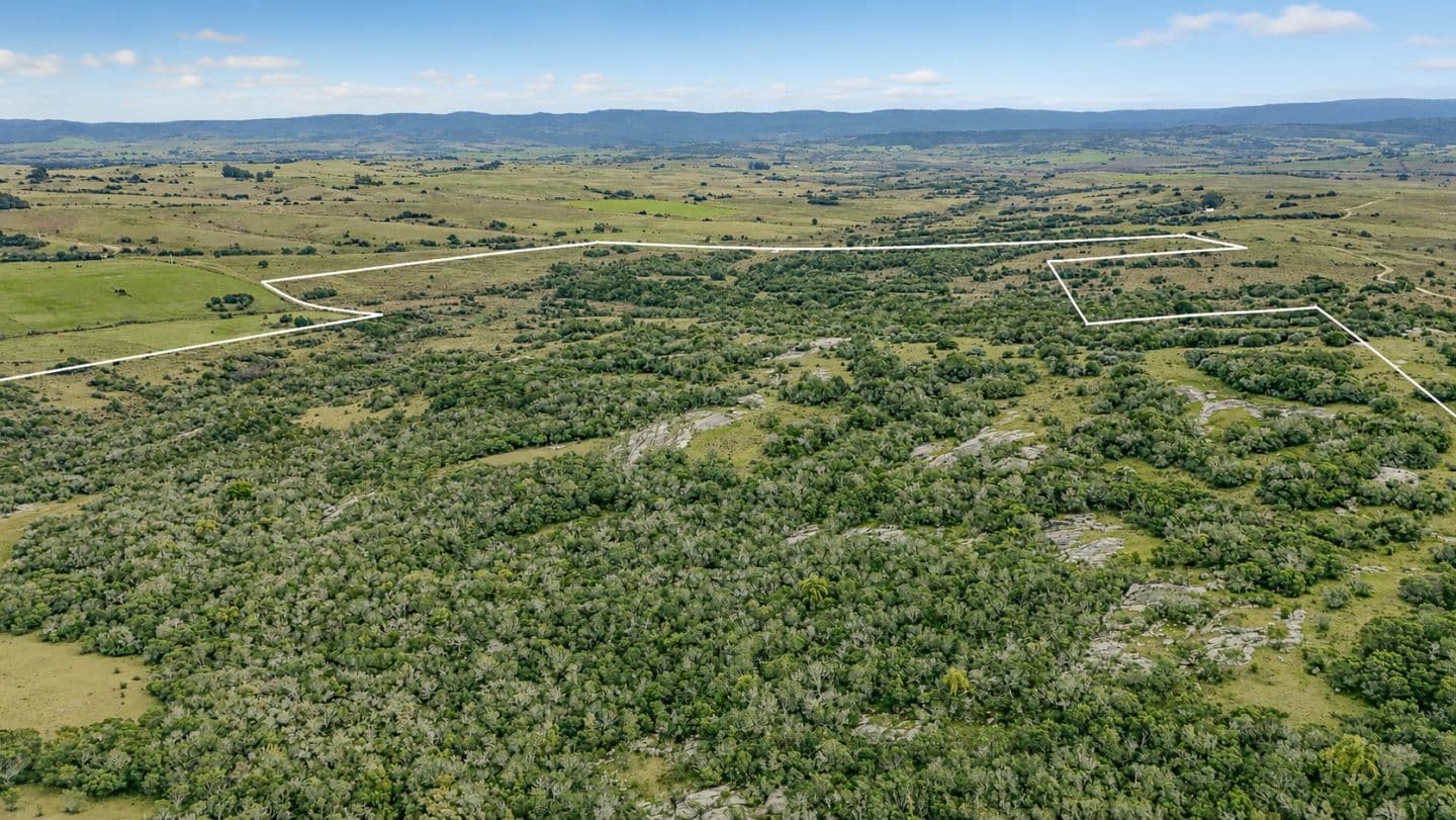 Espectacular campo en venta 76 hectáreas a minutos de Garzón