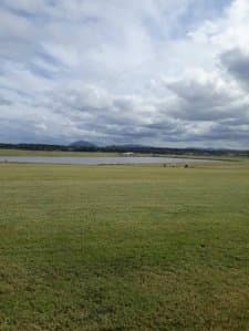 Laguna de los Cisnes | Terreno #5259 Lote de 5000 metros cuadrados con vista a la Laguna de los Cisnes, arbolado, con ta