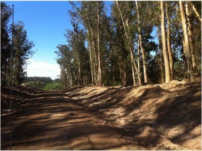 Maldonado | Terreno #4733 Ideal para todo el año, terreno de 375 metros2 con 15 de frente y 25 de fondo. Pronto para con