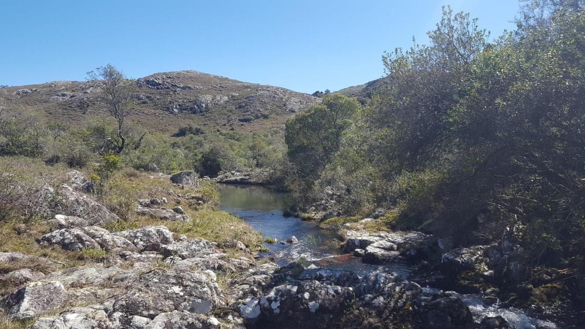 Campo - Aiguá
