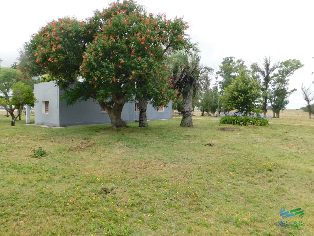 31 Has con casa R.9 (frente entrada Garzon)