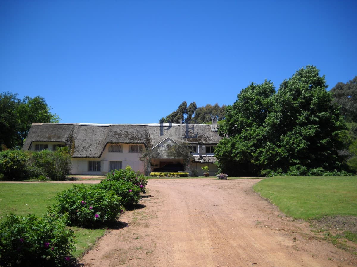 Chacra en venta en Punta Ballena
