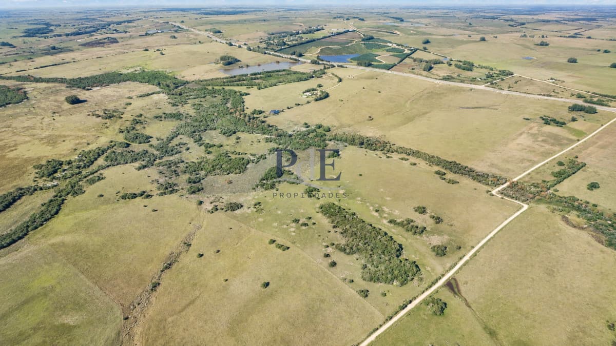 Venta de campo 161 has en Ruta 9, José Ignacio, Punta del Este